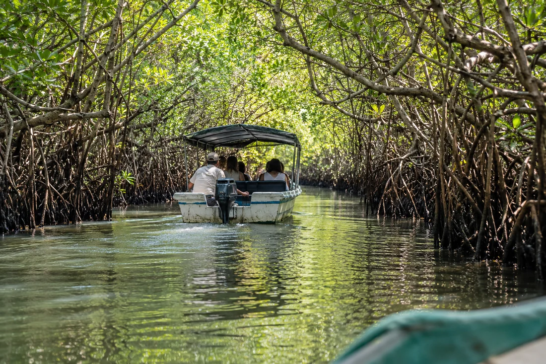 Madu River Safari