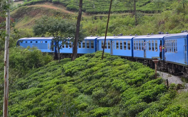 Scenic Train Journey