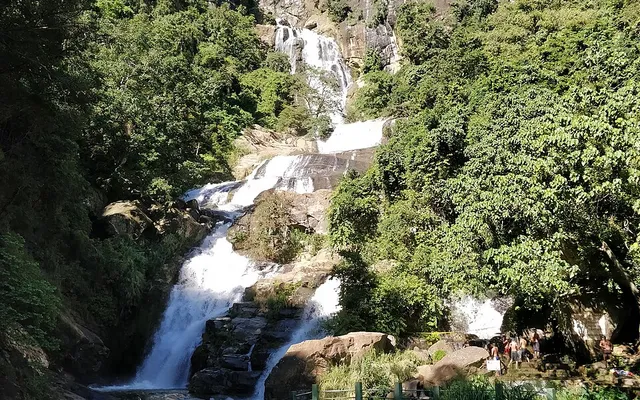 Waterfall Trails