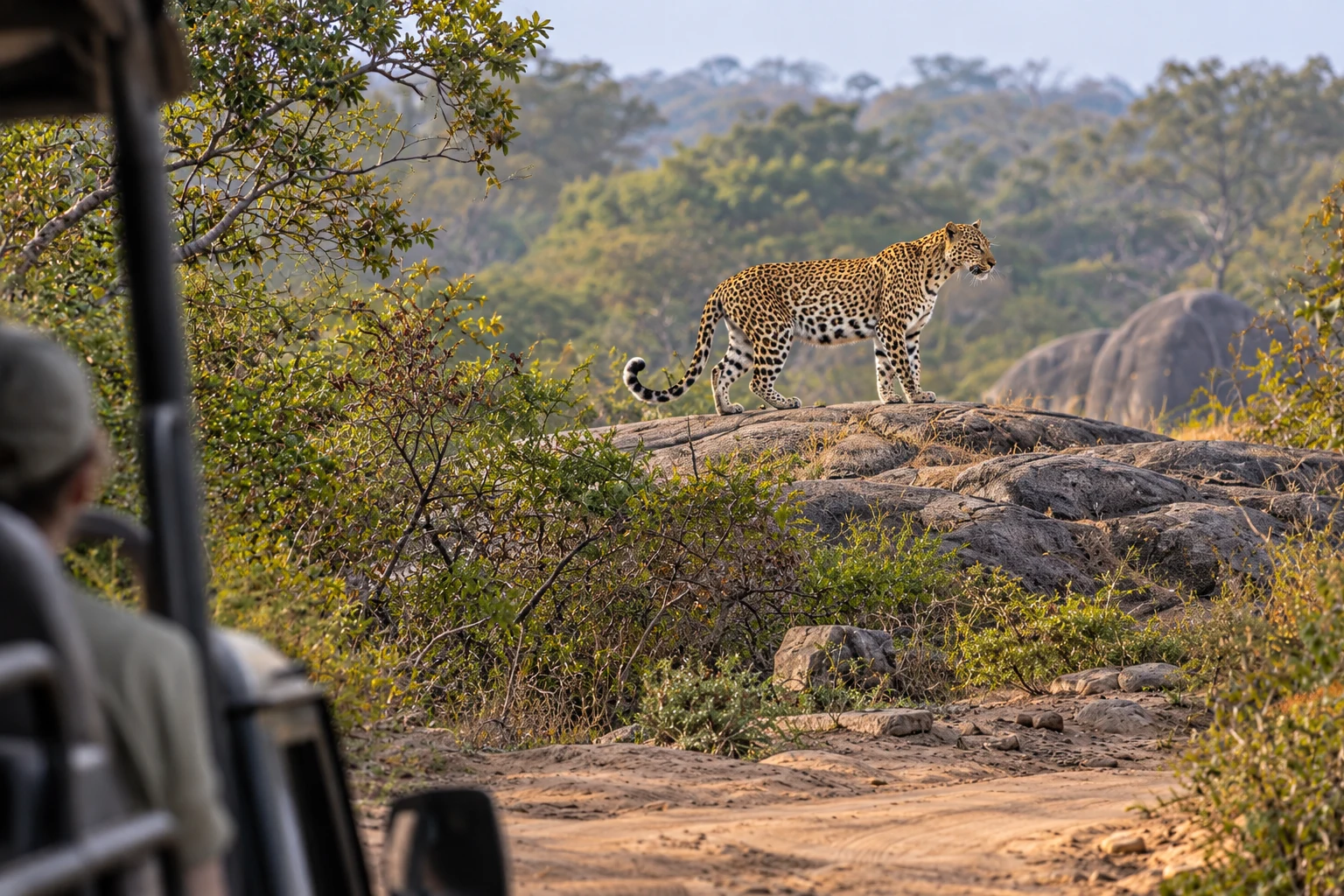 Yala National Park